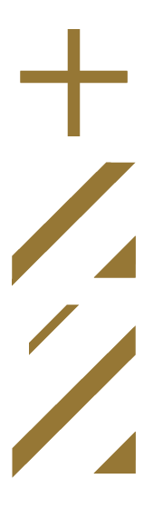 logo15anos